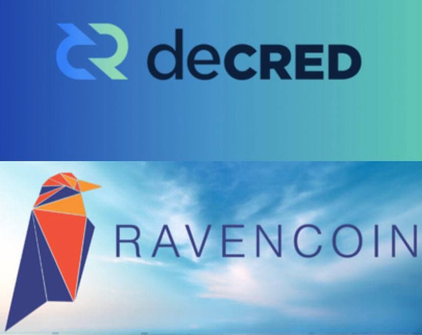 Обзор криптовалют: Decred, Ravencoin