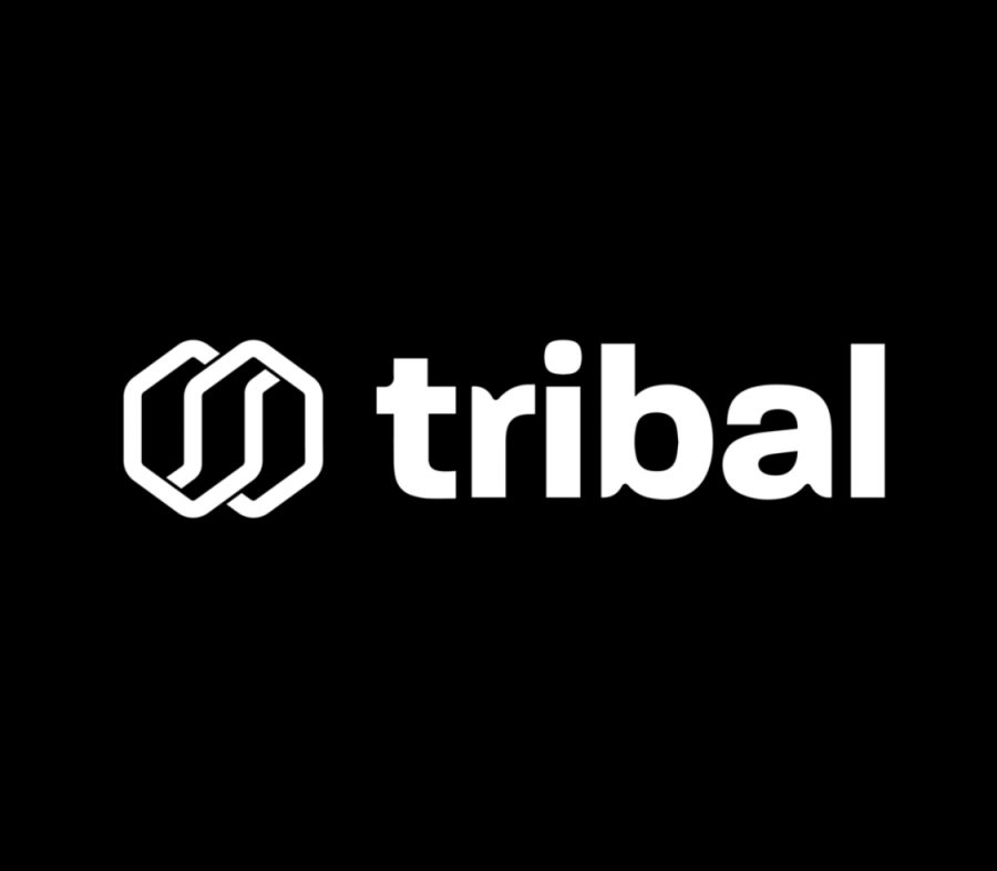 Новый токенсейл на CoinList: Tribal